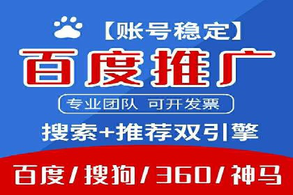 SEM代运营案例分析：精准投放策略解析